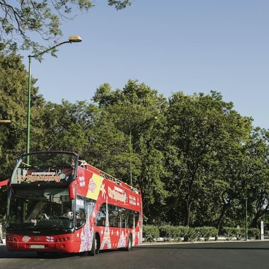 Bus turístico de Benalmádena | Event in Malaga | AllEvents