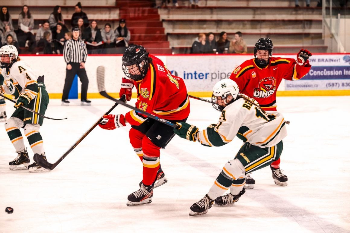 Alberta Pandas Hockey vs. University Of Calgary Dinos, 5 September | Event in Edmonton | AllEvents