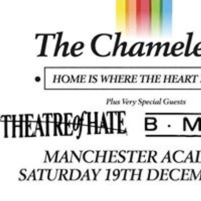 Theatre Of Hate