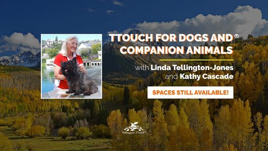 TTouch for Dogs and Companion Animals, Happy Dog Ranch, Littleton, 24 ...