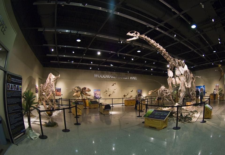 Free Burpee Museum of Natural History Day ????, Burpee Museum of