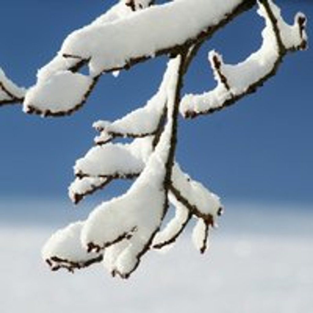 Conscious Connected Breathwork with Lyndsey & Anna, 17 January | Event in Bristol | AllEvents