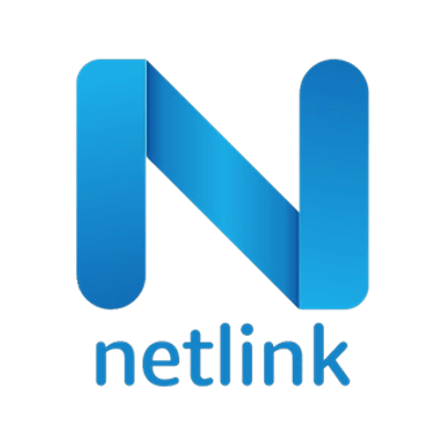 Netlink Software Group America Inc