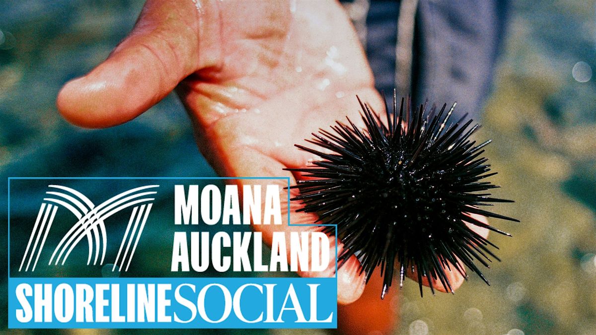 Moana Auckland Shoreline Social | 28 Feb - 1 March