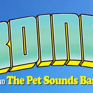 Pet Sounds - Tribute to The Beach Boys