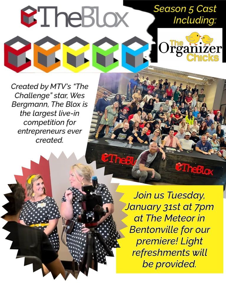 The Organizer Chicks on The Blox Premiere!, Meteor Guitar Gallery