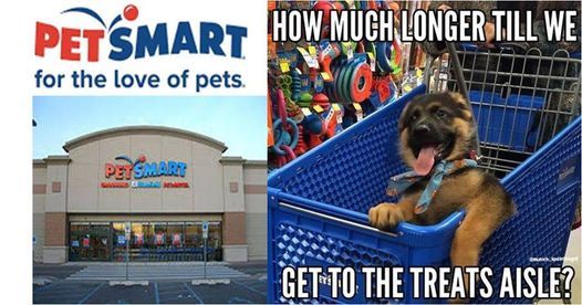 Petsmart 15255 W 119th St Olathe Ks 66061 March 27 2021 Allevents In Petsmart Christmas Hours 2021