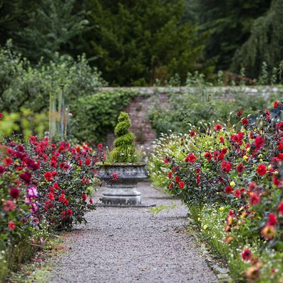 Threave Garden & Estate logo