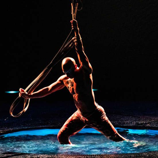 Cirque du Soleil LUZIA