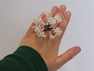 Jewellery (Experienced)- Tuesday Evening (8 Week Duration) Term 1 2026, 10 February | Event in Dunedin | AllEvents