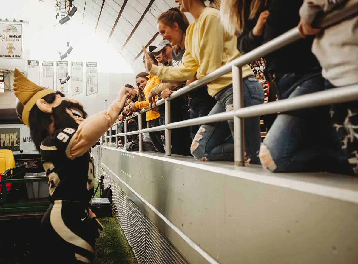 Idaho Vandals at Washington State Cougars Football at Gesa Field at Martin Stadium, 30 August | Event in Pullman
