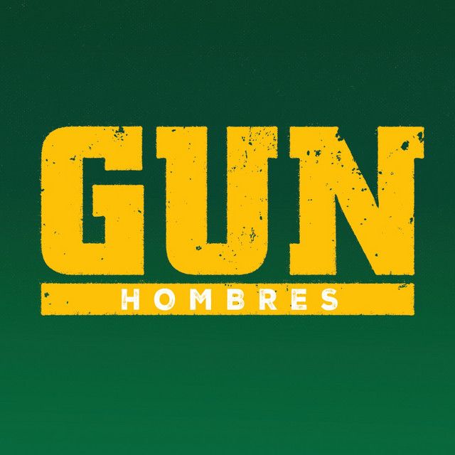 Gun