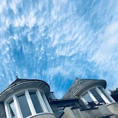 Plas Bodfa Projects logo