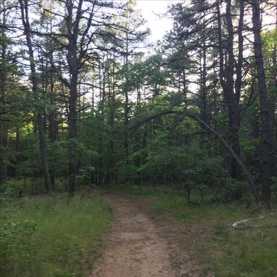 Melissa's Spiritual Works LLC logo