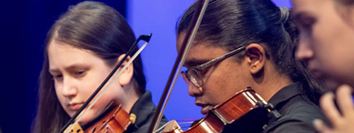 SYSE Spring Concert, 12 May | Event in Schaumburg | AllEvents