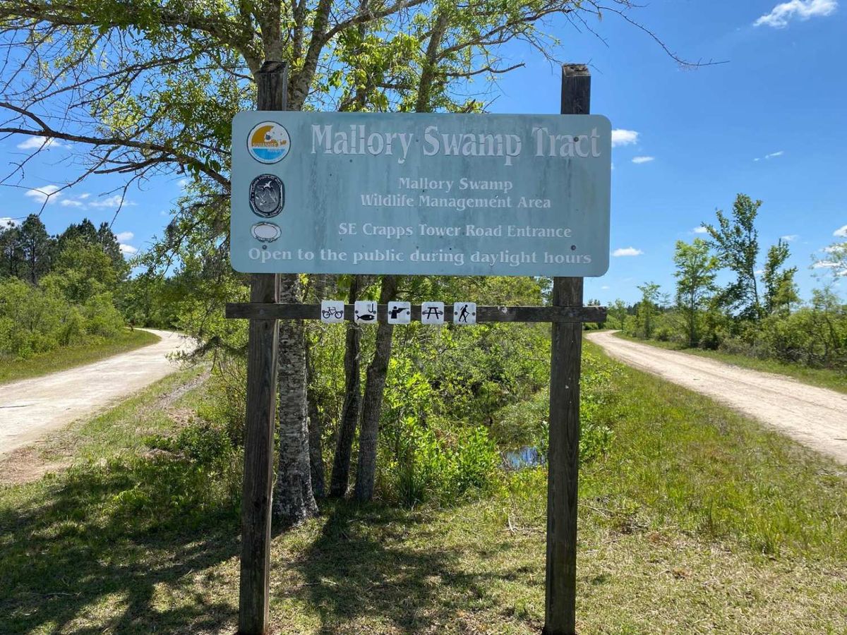 Tom McELvain, 26 March | Event in Dunn | AllEvents