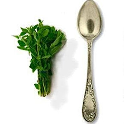 the Seasoned Spoon Cafe logo