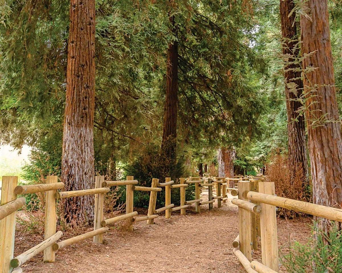 Guided Hike at Carbon Canyon with Cancer Kinship (Open to the Public), 6 December | Event in Brea | AllEvents