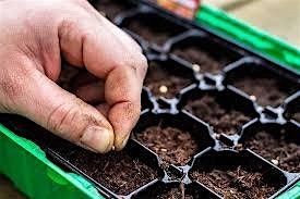 Winter Native Seed Sowing, 10 January | Event in Madison | AllEvents