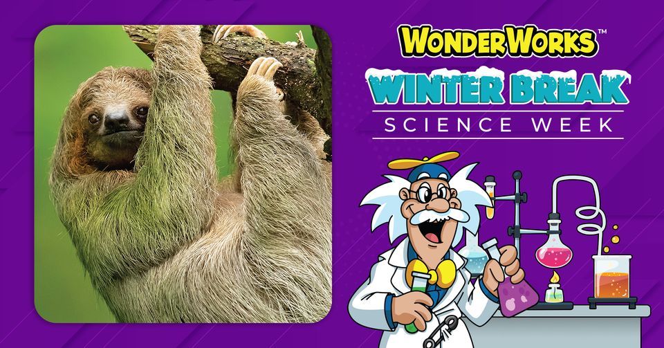 Into the Wild with the Nature Center WonderWorks Science Week