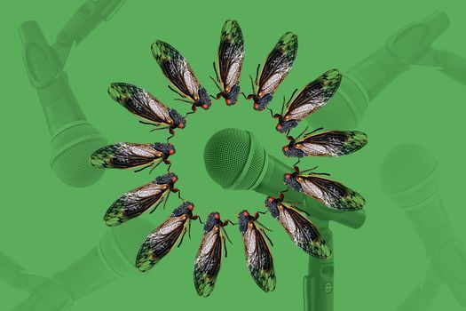 First Thursday Open Studio Recording Session Plyspace Muncie June 3 2021 Allevents In Muncie Christmas Sing 2021