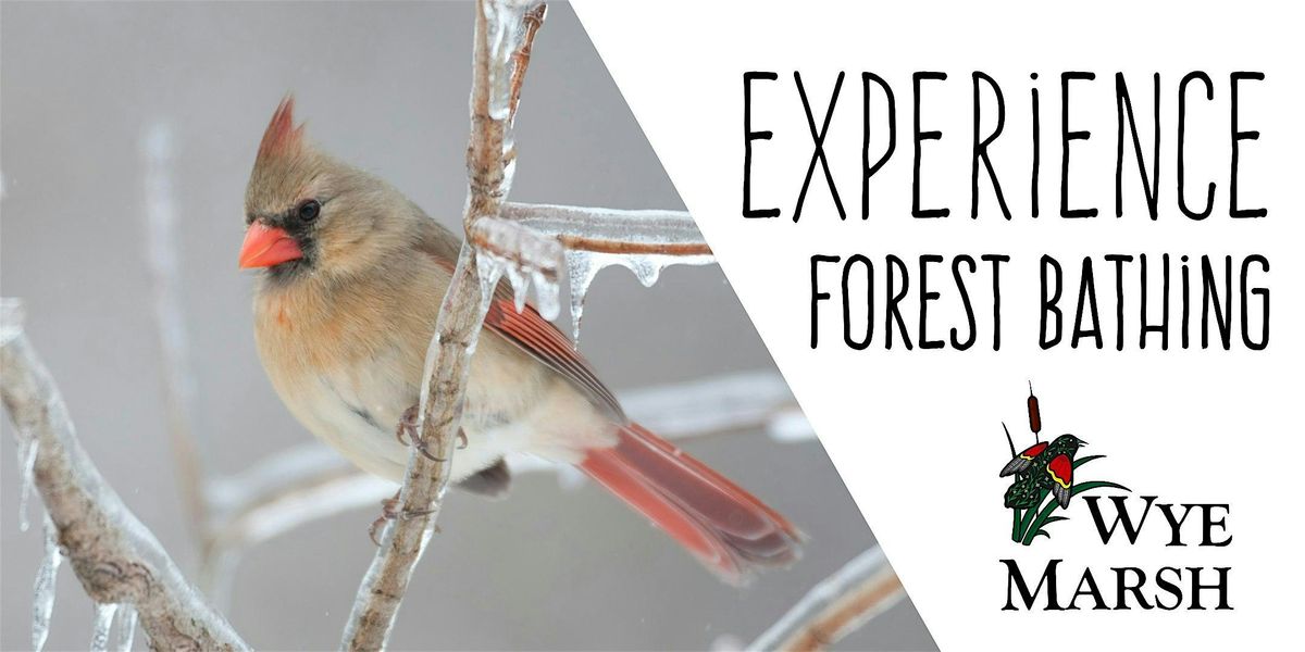 Forest Bathing at Wye Marsh, 14 January | Event in Midland | AllEvents