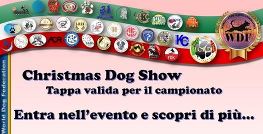 christmas dog show