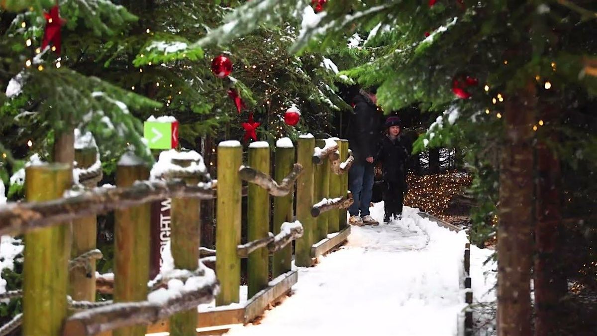 Move More Holiday Programme.Trip to Raby Castle.Saturday 3rd Jan 9.30-14.00, 3 January | Event in Darlington