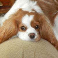 User profile photo