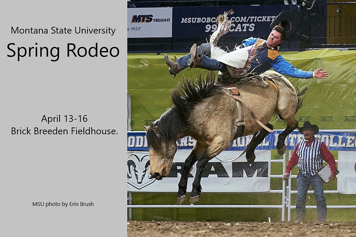 MSU Spring Rodeo 4 Day Pass Brick Breeden Fieldhouse Bozeman 13 msu-spring-rodeo-4-day-pass-brick-breeden-fieldhouse-bozeman-13