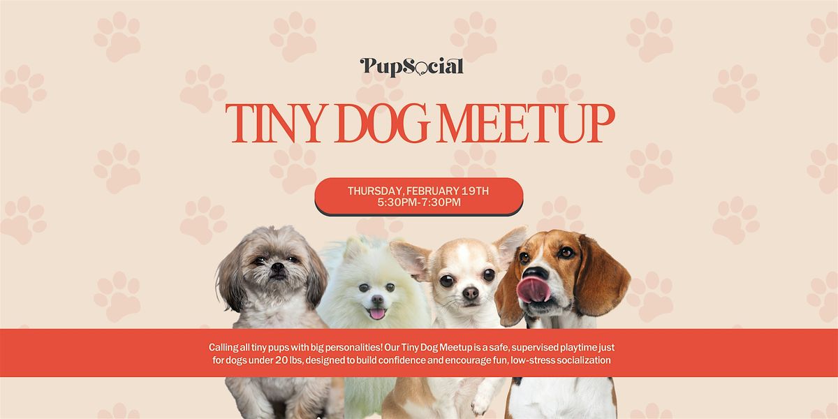 Tiny Dog Meetup, 19 February | Event in Chicago | AllEvents
