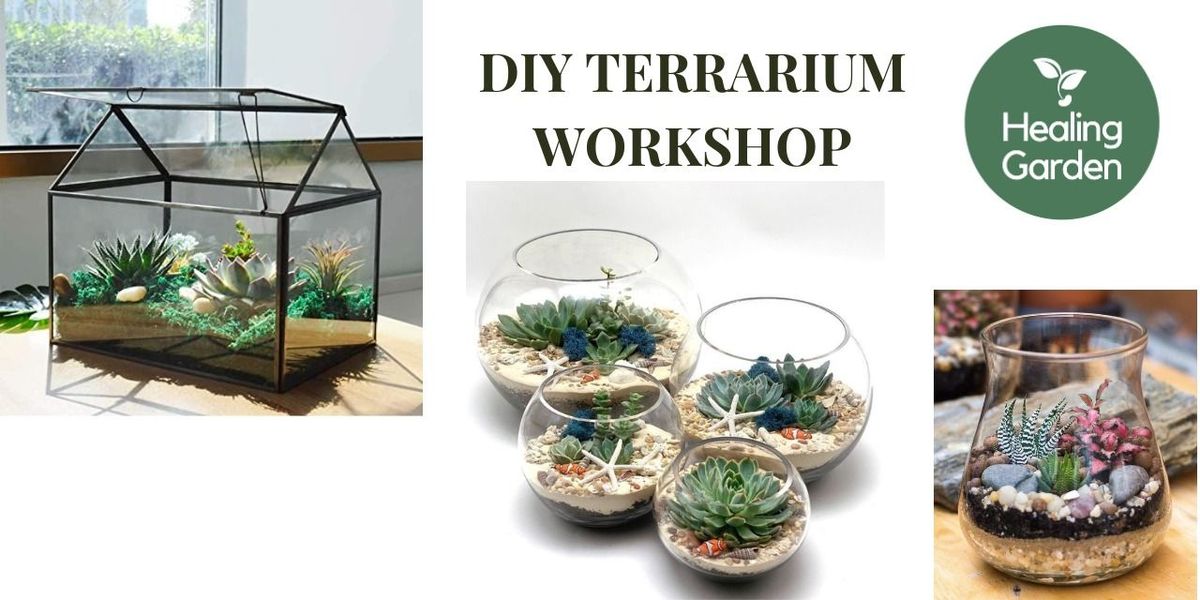 Terrarium Making Workshop, 22 June | Event in Bangalore | AllEvents