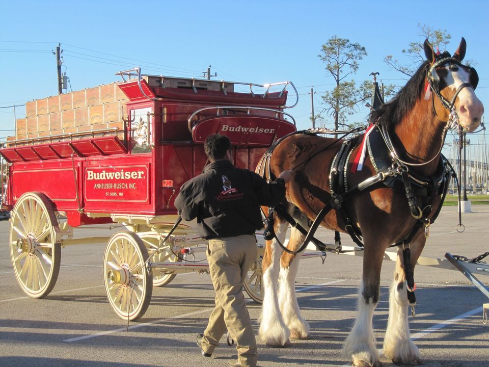 Clydesdale Horse Bowl A Vard, BowlAVard Lanes, Madison, May 25 2023