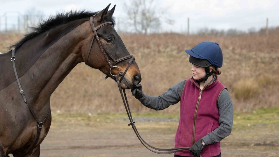 Equine First Aid Course, Burton Equine Centre, Beverley, April 15 2024 AllEvents.in Equine First Aid Course, Burton Equine Centre, Beverley, April 15 2024 AllEvents.in