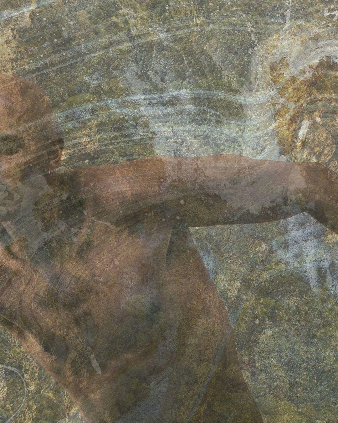 Ecologies in Motion, 1 December | Event in San Francisco | AllEvents