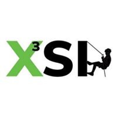 X3SI