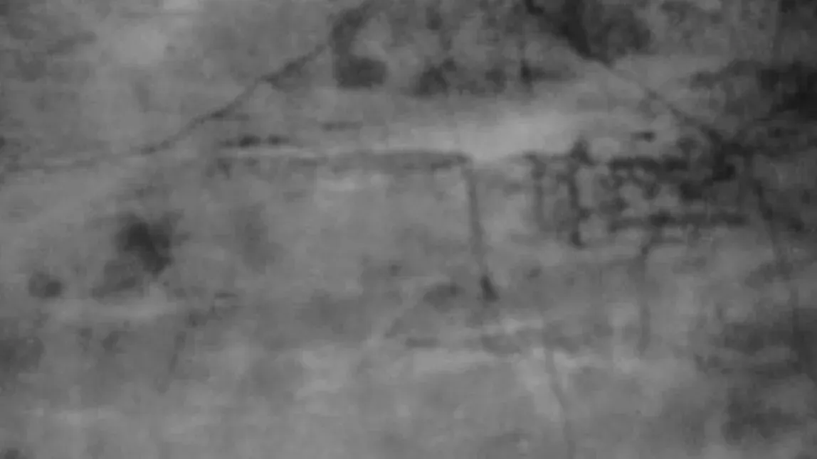 Mary Black in Dublin, 30 May | Event in Dublin | AllEvents