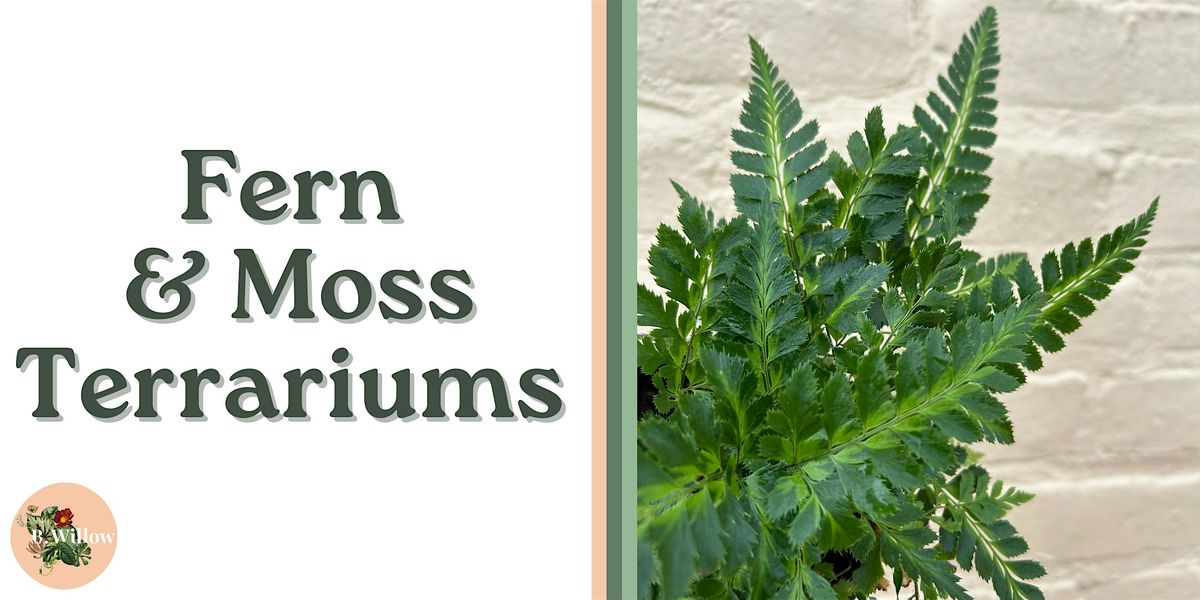 Fern and Moss Terrarium Workshop, 14 January | Event in Baltimore | AllEvents