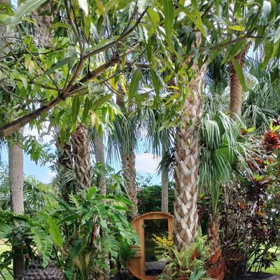 Jardin Secret Events logo