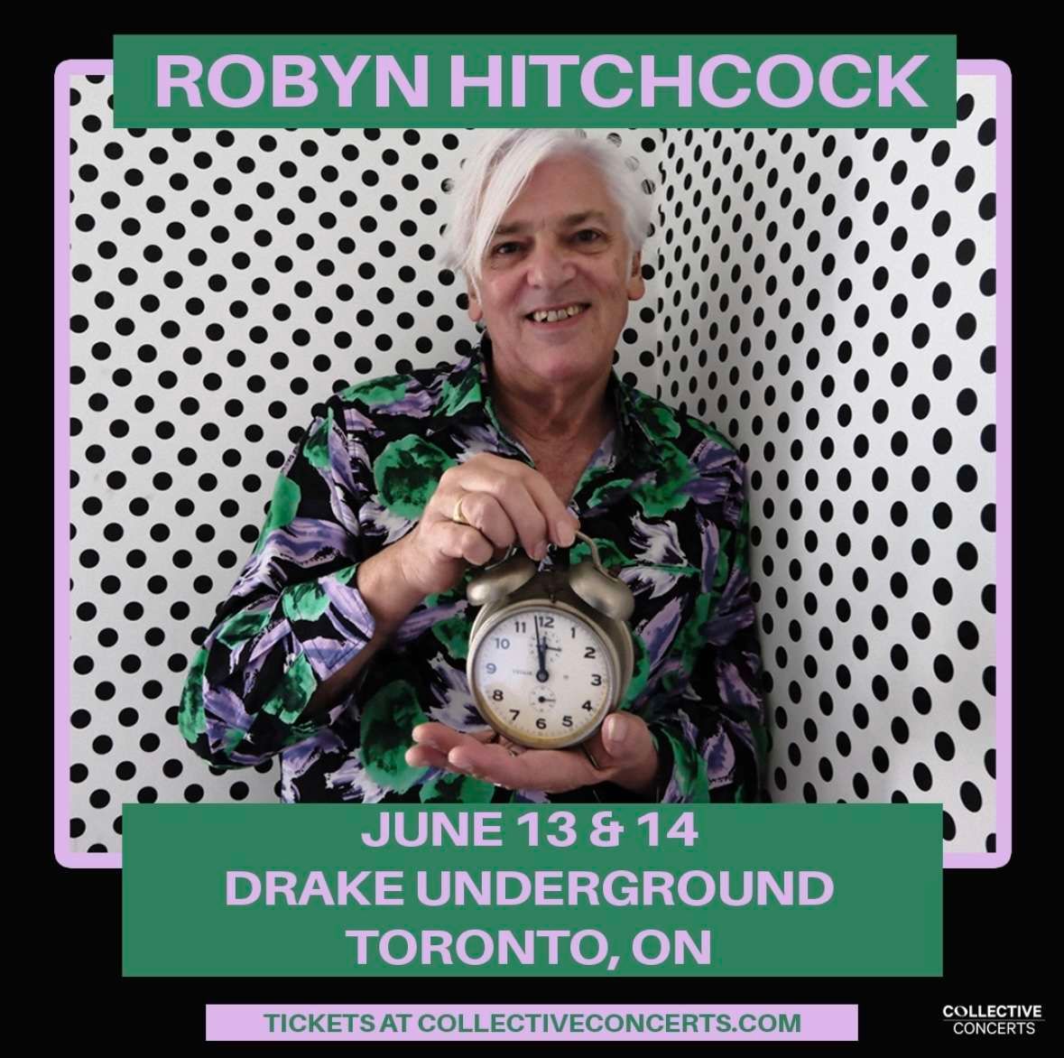 Robyn Hitchcock at The Atlantis, 20 November | Event in Washington | AllEvents