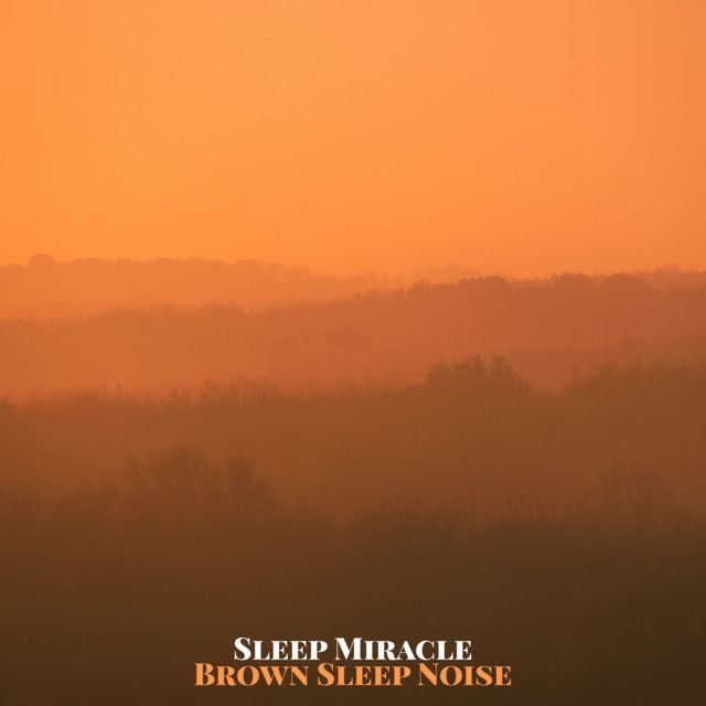 Sleep Miracle