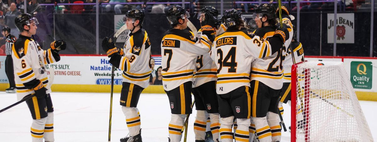 Madison Capitols at Dubuque Fighting Saints at ImOn Arena, 5 February | Event in Dubuque | AllEvents
