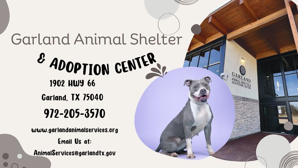 Happy Howliday Photos, Garland Animal Shelter & Adoption Center