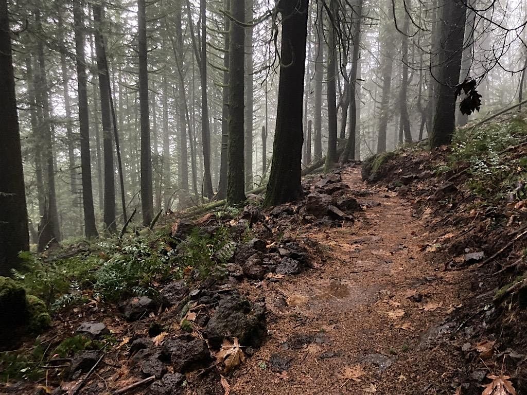 DIG DAY - Cascade Locks - CLIMB Trail Maintenance & Construction, 20 December | Event in Cascade Locks