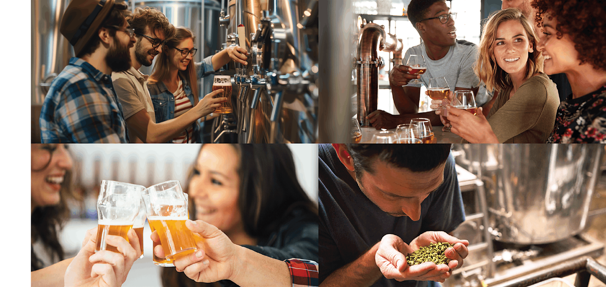 Grain to Glass Brewery Experience, 10 January | Event in Oceanside | AllEvents