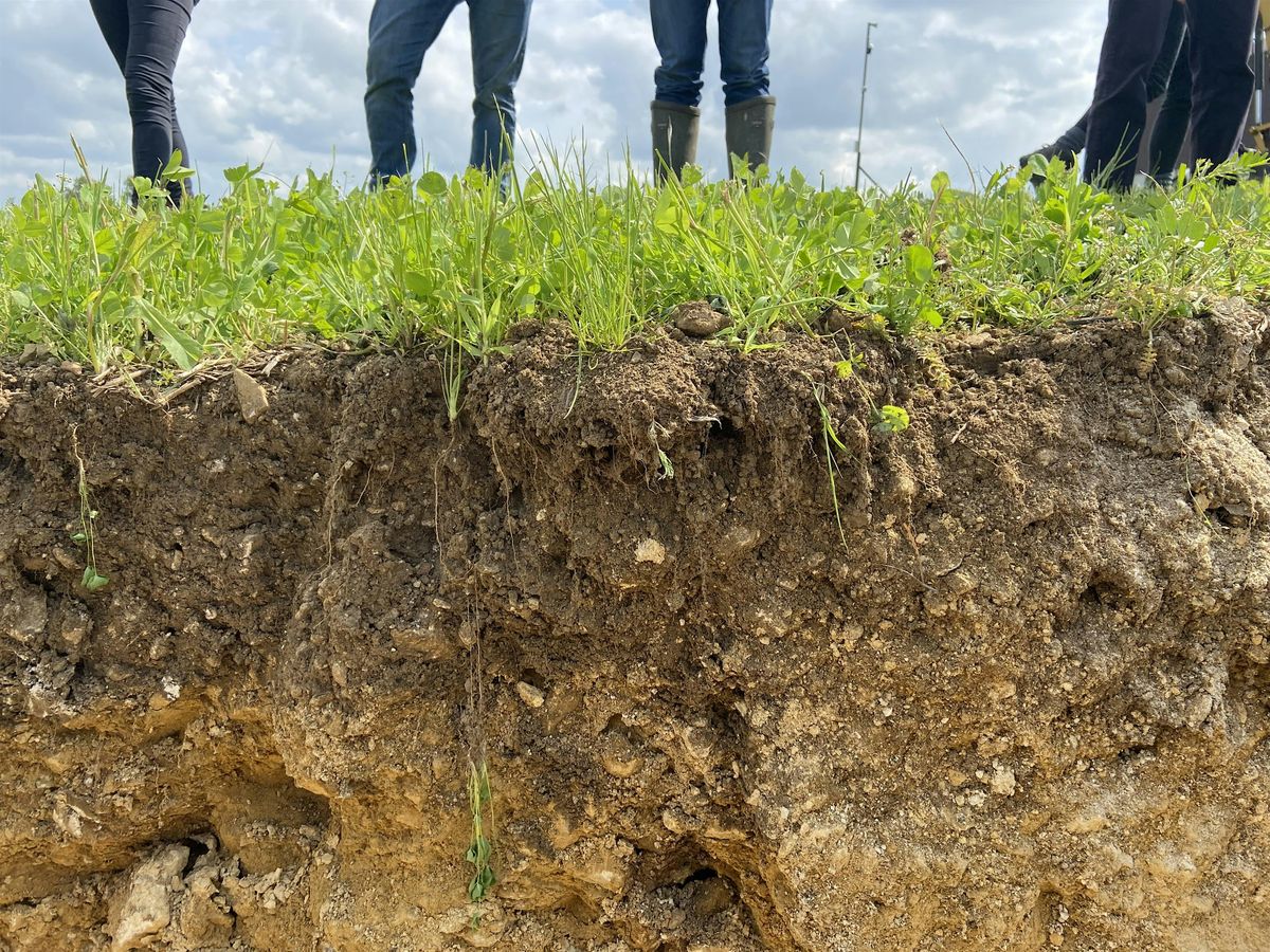Getting more from the soil by putting in less?, 16 December | Event in Leicester | AllEvents