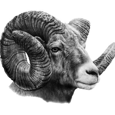 Adult Education - Dubois logo