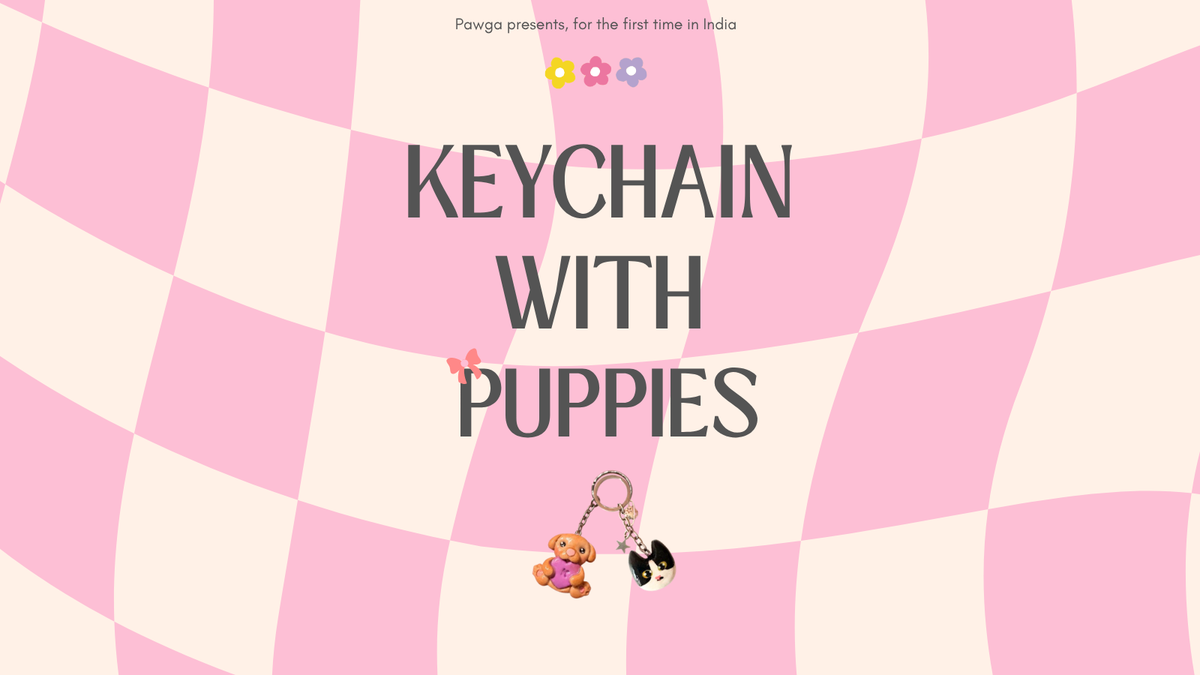 Pawga's Clay Keychains w Puppies at Santé Spa Cuisine