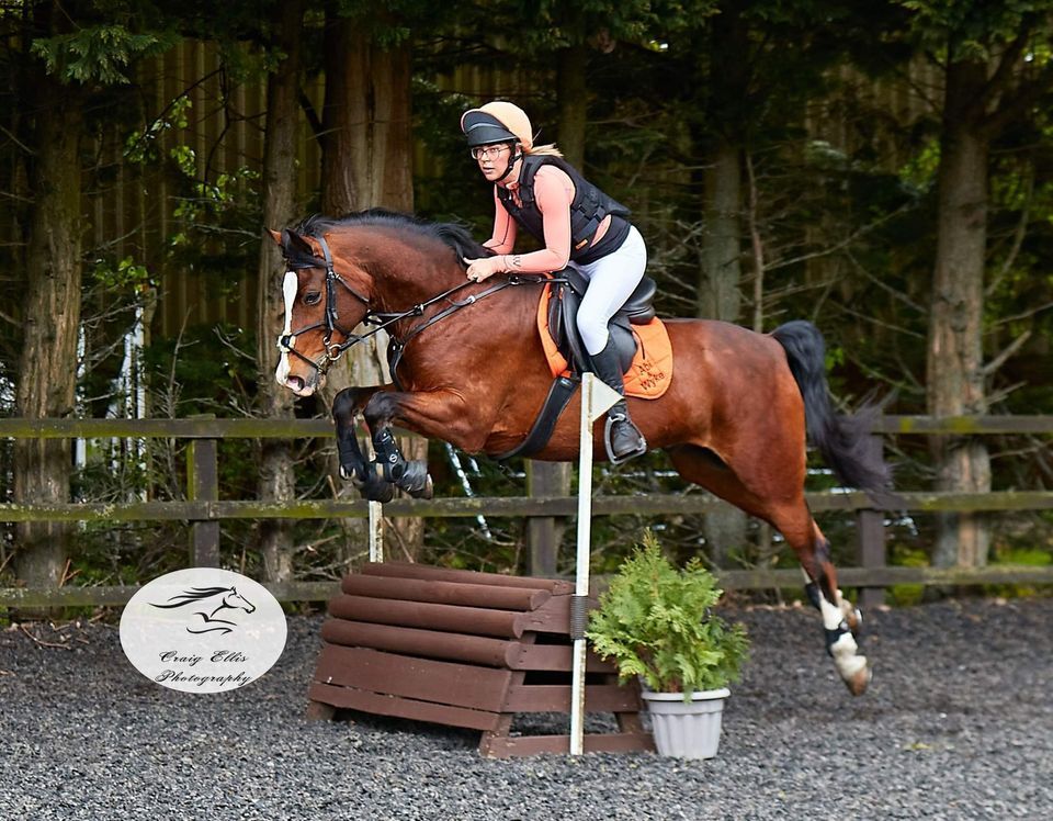 Mini Arena Show Cross, Cottingham Equestrian Centre, Kingston Upon Hull