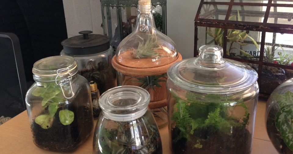 Terrariums Bringing Gardening Indoors, Huntsville Botanical Garden